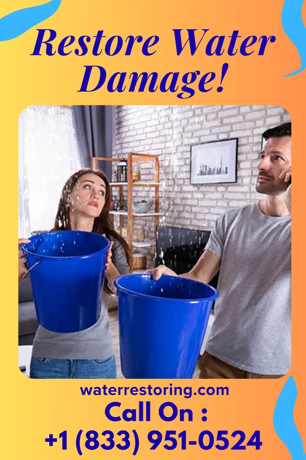 water restoration Western Sewage Cleanup Professionals St. Augustine Beach