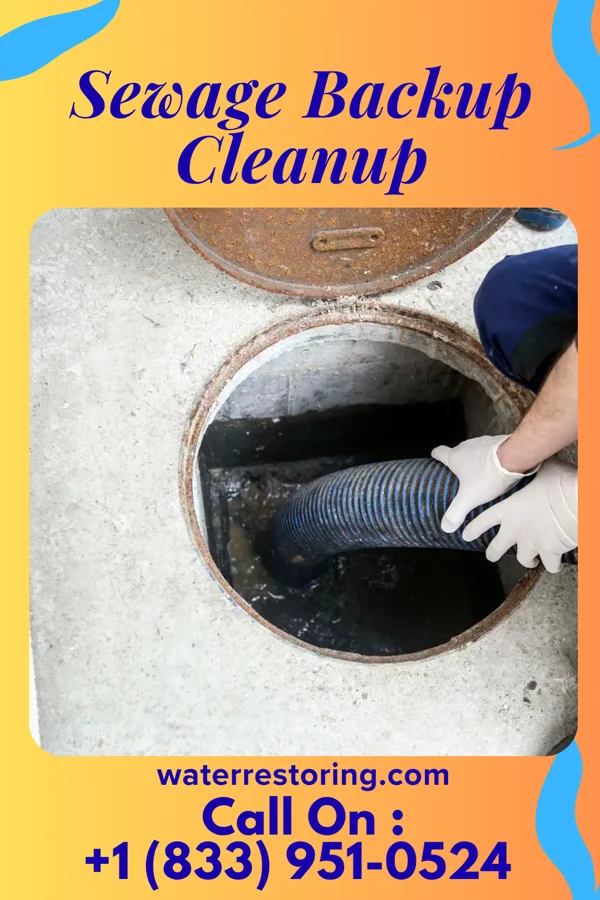 Sewage Backup Cleanup in St. Augustine Beach, FL
